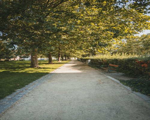 Walking path in a green urban park during a calm sunny daytime